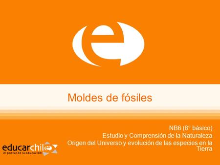 Moldes de fósiles NB6 (8° básico) Estudio y Comprensión de la Naturaleza Origen del Universo y evolución de las especies en la Tierra.