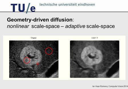 Ter Haar Romeny, Computer Vision 2014 Geometry-driven diffusion: nonlinear scale-space – adaptive scale-space.