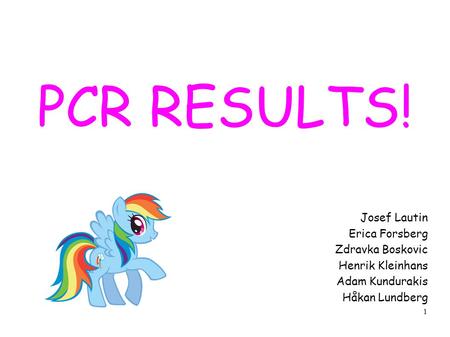 1 PCR RESULTS! Josef Lautin Erica Forsberg Zdravka Boskovic Henrik Kleinhans Adam Kundurakis Håkan Lundberg.