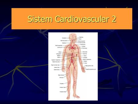 Sistem Cardiovasculer 2