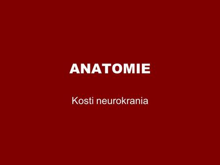 ANATOMIE Kosti neurokrania.