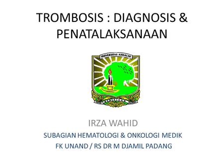 TROMBOSIS : DIAGNOSIS & PENATALAKSANAAN IRZA WAHID SUBAGIAN HEMATOLOGI & ONKOLOGI MEDIK FK UNAND / RS DR M DJAMIL PADANG.