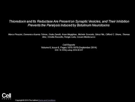 Thioredoxin and Its Reductase Are Present on Synaptic Vesicles, and Their Inhibition Prevents the Paralysis Induced by Botulinum Neurotoxins Marco Pirazzini,