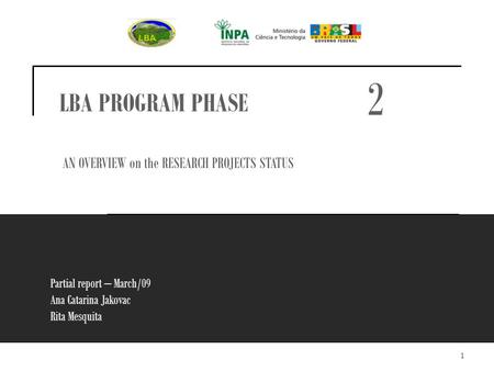 1 Partial report – March/09 Ana Catarina Jakovac Rita Mesquita LBA PROGRAM PHASE AN OVERVIEW on the RESEARCH PROJECTS STATUS 2.