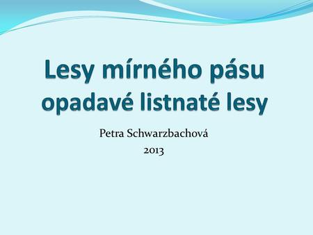 Petra Schwarzbachová 2013. Zdroj: