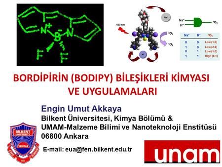 BORDİPİRİN (BODIPY) BİLEŞİKLERİ KİMYASI