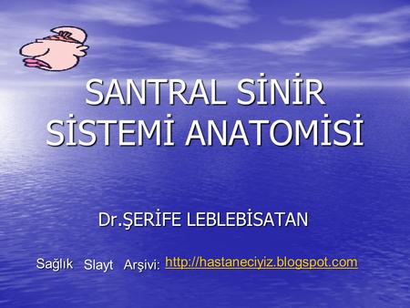 SANTRAL SİNİR SİSTEMİ ANATOMİSİ