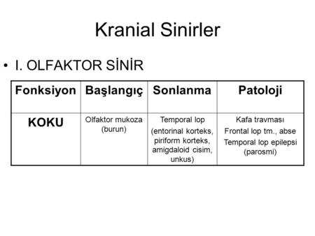 Kranial Sinirler I. OLFAKTOR SİNİR Fonksiyon Başlangıç Sonlanma