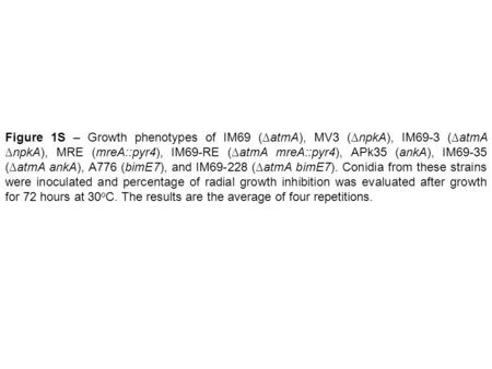 Figure 1S – Growth phenotypes of IM69 (∆atmA), MV3 (∆npkA), IM69-3 (∆atmA ∆npkA), MRE (mreA::pyr4), IM69-RE (∆atmA mreA::pyr4), APk35 (ankA), IM69-35 (∆atmA.