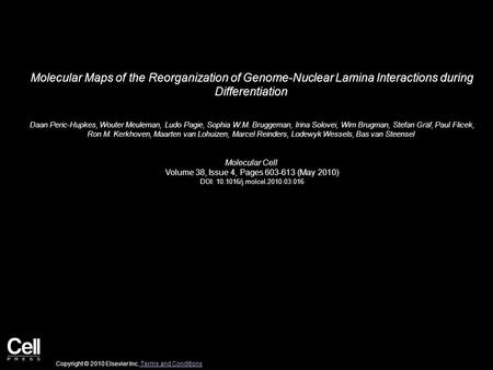 Molecular Maps of the Reorganization of Genome-Nuclear Lamina Interactions during Differentiation Daan Peric-Hupkes, Wouter Meuleman, Ludo Pagie, Sophia.