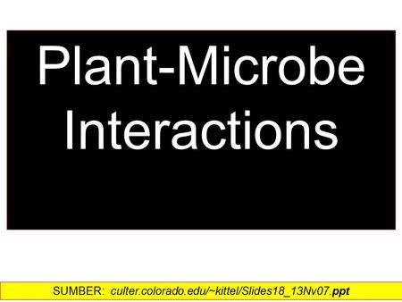 Plant-Microbe Interactions SUMBER: culter.colorado.edu/~kittel/Slides18_13Nv07.ppt‎