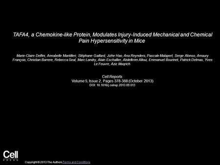 TAFA4, a Chemokine-like Protein, Modulates Injury-Induced Mechanical and Chemical Pain Hypersensitivity in Mice Marie-Claire Delfini, Annabelle Mantilleri,