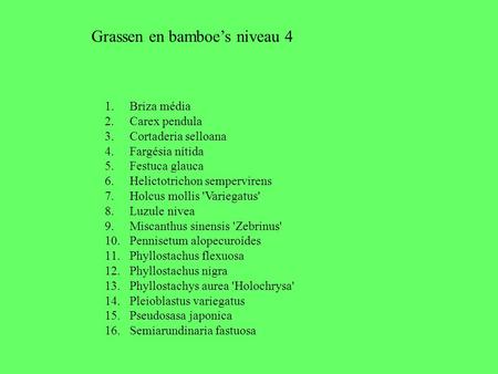 1.Briza média 2.Carex pendula 3.Cortaderia selloana 4.Fargésia nítida 5.Festuca glauca 6.Helictotrichon sempervirens 7.Holcus mollis 'Variegatus' 8.Luzule.