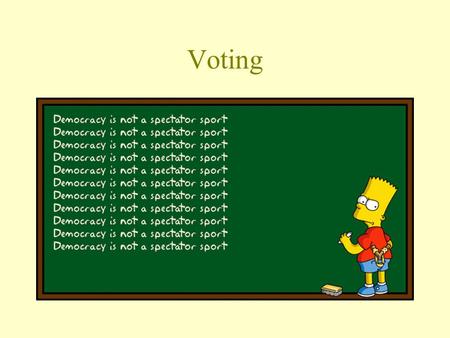 Voting. Overview Voting Campaigns –“Traditional” vs. “Professional” –Finance.