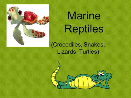 (Crocodiles, Snakes, Lizards, Turtles)