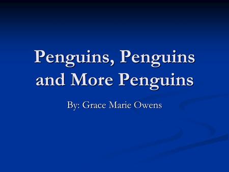 Penguins, Penguins and More Penguins By: Grace Marie Owens.