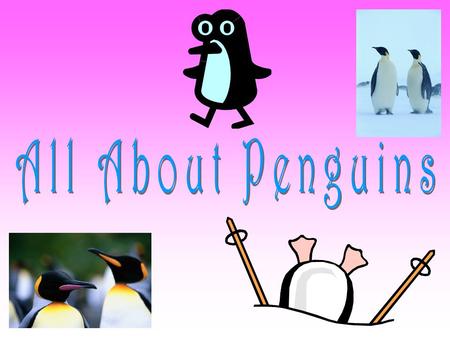 Female and male penguins get together, to mate, every year. The female will make a nest and lay one or two eggs. The nest will be either an underground.