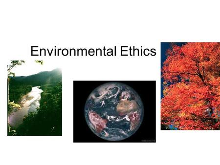 Environmental Ethics.