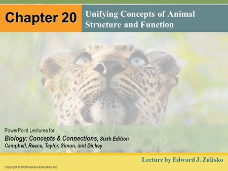 Copyright © 2009 Pearson Education, Inc. PowerPoint Lectures for Biology: Concepts & Connections, Sixth Edition Campbell, Reece, Taylor, Simon, and Dickey.