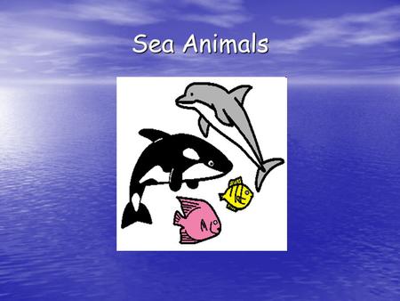 Sea Animals.