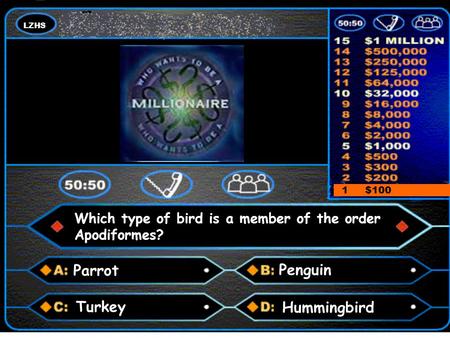 LZHS A number and a colon Answer 1 $100 Parrot Penguin Hummingbird Turkey Which type of bird is a member of the order Apodiformes?