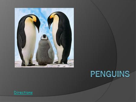 Directions Directions from the teacher Where does your penguin live What does it eat How tall is the penguin Penguin Facts.