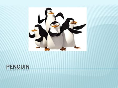  Penguins are birds with black and white feathers and a funny waddle.  But unlike most birds, penguins are not able to fly.  Penguins spend as much.