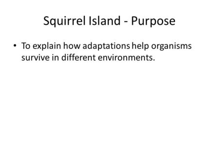 Squirrel Island - Purpose