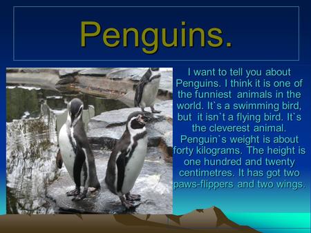 Penguins. I want to tell you about Penguins. I think it is one of the funniest animals in the world. It`s a swimming bird, but it isn`t a flying bird.