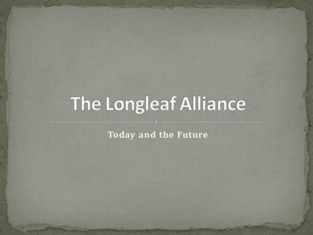 Today and the Future. Organized in 1995 and held first regional conference that year in Mobile, Alabama Our mission is to ensure a sustainable future.