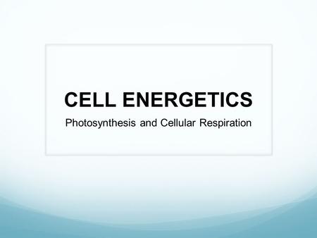 Photosynthesis and Cellular Respiration