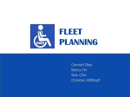 FLEET PLANNING Carmen Diep Nancy Ho Siao Chin Christian Wittkopf.