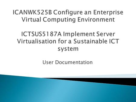 User Documentation.  You cannot build a system for a client and leave them without adequate documentation  Computer systems are complex, require configuration.