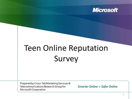 Teen Online Reputation Survey