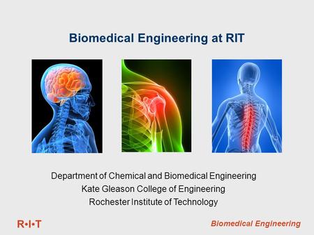 RITRIT Biomedical Engineering Biomedical Engineering at RIT Department of Chemical and Biomedical Engineering Kate Gleason College of Engineering Rochester.