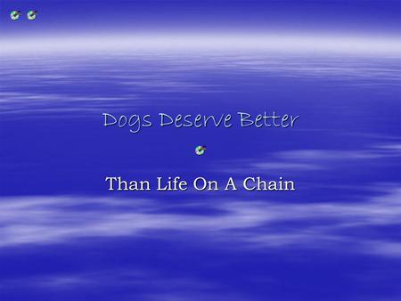 Dogs Deserve Better Than Life On A Chain. Imagine.