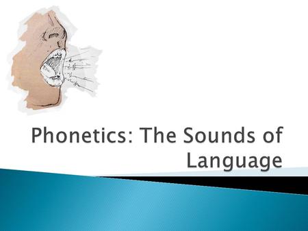  Phonetics: The physical manifestation of language in sound waves. ◦ How sounds are articulated (articulatory phonetics) ◦ How sounds are perceived (auditory.