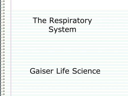 The Respiratory System