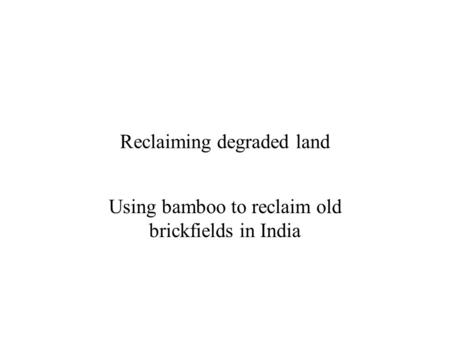 Reclaiming degraded land Using bamboo to reclaim old brickfields in India.