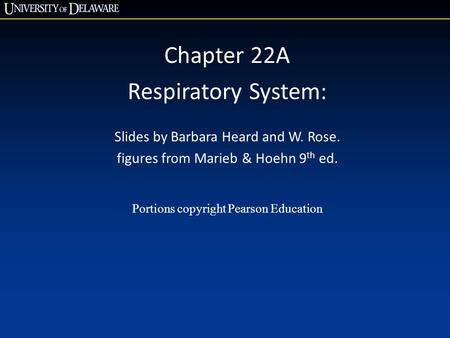 Chapter 22A Respiratory System: Slides by Barbara Heard and W. Rose.