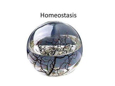 Homeostasis.