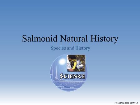 Salmonid Natural History Species and History. Salmonid Species and History O The family Salmonidae consists of a variety of salmon and trout species in.