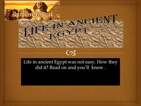 Life in ancient Egypt was not easy. How they did it? Read on and you’ll know.