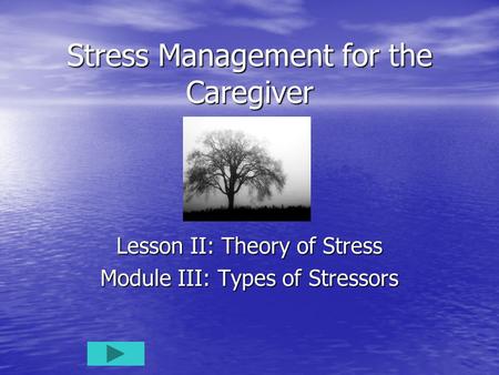 Stress Management for the Caregiver Lesson II: Theory of Stress Module III: Types of Stressors.