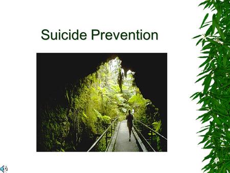 Suicide Prevention. Suicide is currently the fifth leading cause of death among Canadians. Cancer, heart disease, cardiovascular disease and unintentional.