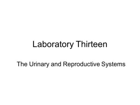 Laboratory Thirteen The Urinary and Reproductive Systems.