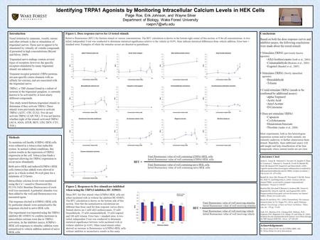 Identifying TRPA1 Agonists by Monitoring Intracellular Calcium Levels in HEK Cells Paige Roe, Erik Johnson, and Wayne Silver Department of Biology, Wake.