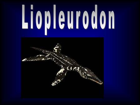 Basic Facts Type: Marine Reptile Size: 25m long Diet: Omnivore Predators: None Existence: Mid to Late Jurassic, 160- 155 million years.