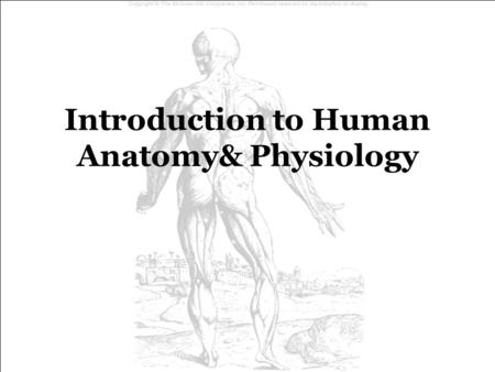 Introduction to Human Anatomy& Physiology