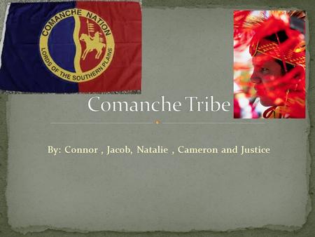 By: Connor, Jacob, Natalie, Cameron and Justice. They got food by hunting with bow and arrows. They hunted buffalo, deer, berries, elk and river fish.